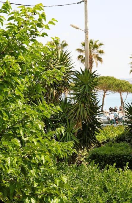 Blue Summer Vibes Duplex Studio For 4P, Ac, Sea View, Parking, Beach At 50M, Spa Access -3 La Ciotat Extérieur photo
